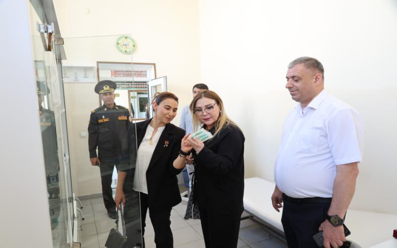 /FHN yanında İctimai şuranın üzvləri Naxçıvana səfər edib